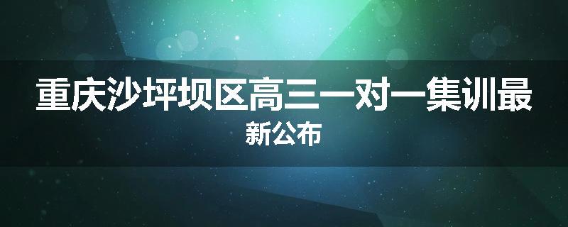 重庆沙坪坝区高三一对一集训最新公布
