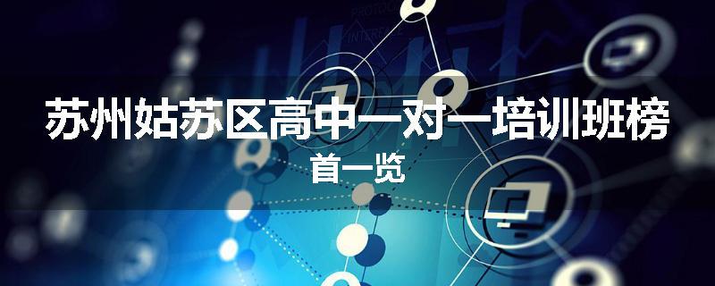 苏州姑苏区高中一对一培训班榜首一览