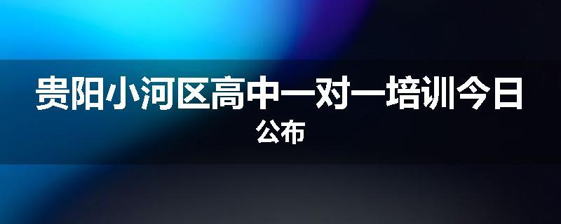 贵阳小河区高中一对一培训今日公布