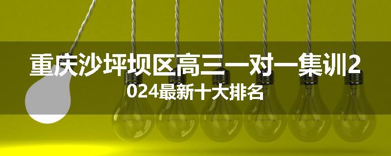 重庆沙坪坝区高三一对一集训2024最新十大排名
