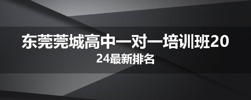 东莞莞城高中一对一培训班2024最新排名