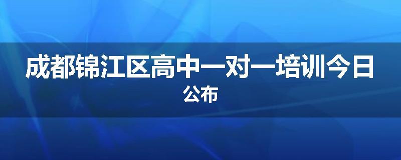 成都锦江区高中一对一培训今日公布