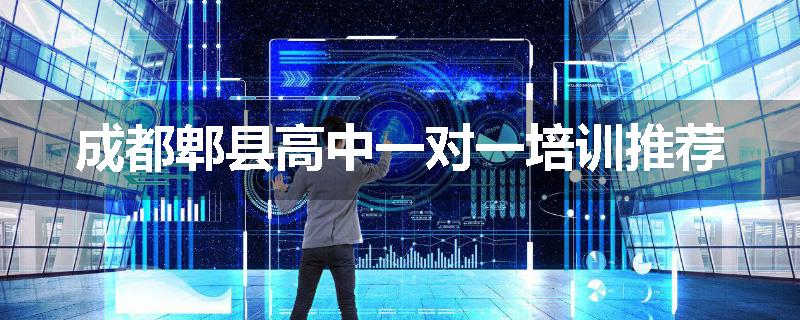 成都郫县高中一对一培训推荐