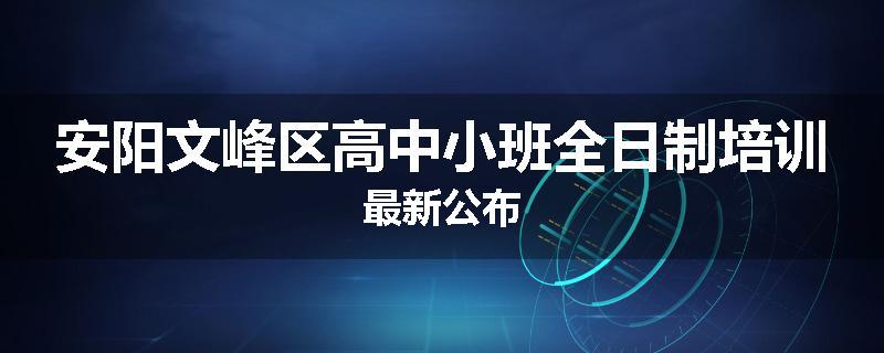 安阳文峰区高中小班全日制培训最新公布