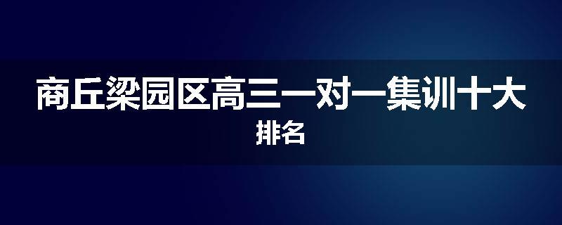 商丘梁园区高三一对一集训十大排名