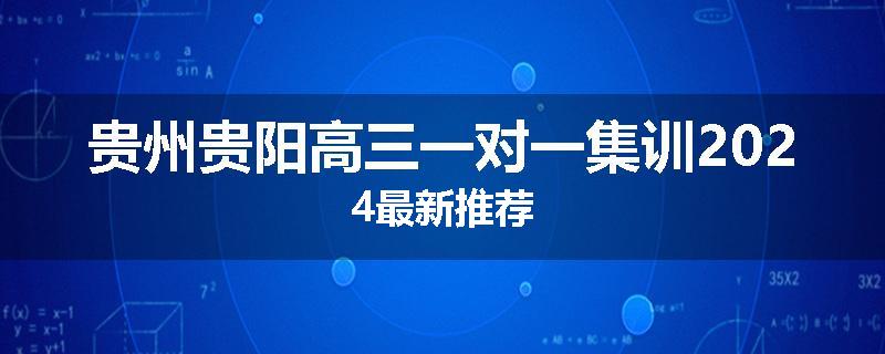 贵州贵阳高三一对一集训2024最新推荐