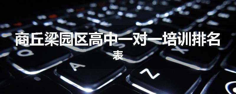 商丘梁园区高中一对一培训排名表