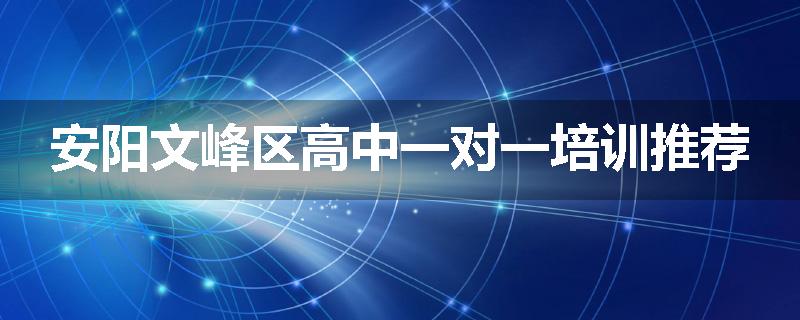 安阳文峰区高中一对一培训推荐