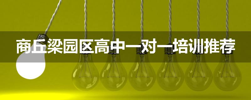 商丘梁园区高中一对一培训推荐
