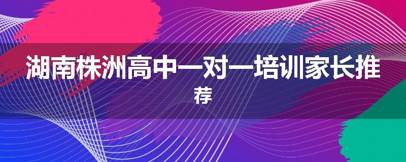 湖南株洲高中一对一培训家长推荐