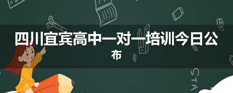 四川宜宾高中一对一培训今日公布