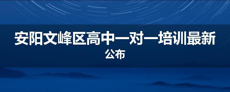 安阳文峰区高中一对一培训最新公布