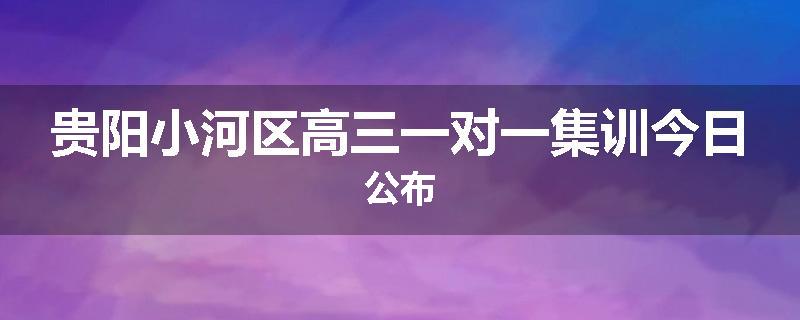 贵阳小河区高三一对一集训今日公布