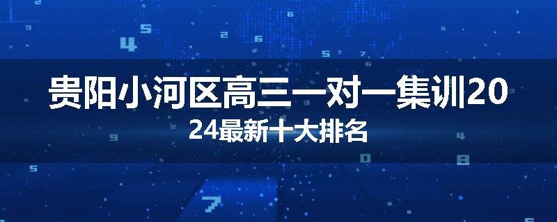 贵阳小河区高三一对一集训2024最新十大排名