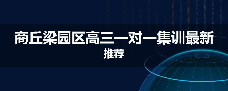 商丘梁园区高三一对一集训最新推荐