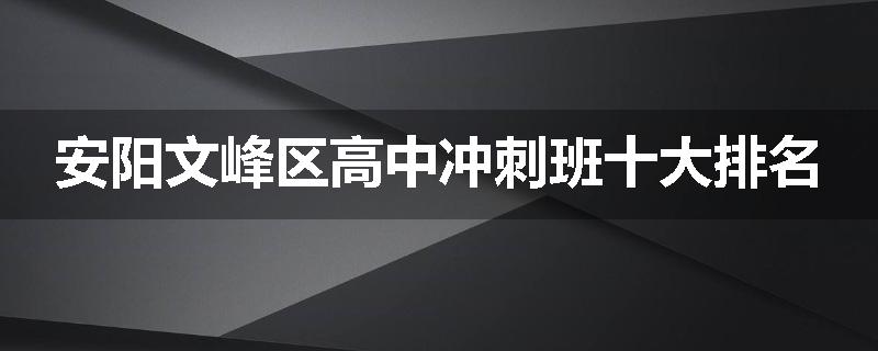 安阳文峰区高中冲刺班十大排名