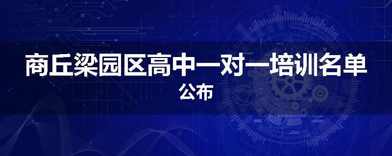 商丘梁园区高中一对一培训名单公布