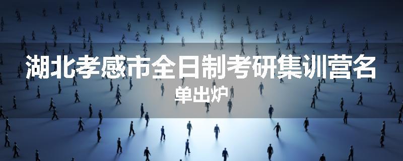 湖北孝感市全日制考研集训营名单出炉