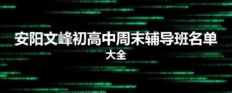 安阳文峰初高中周末辅导班名单大全