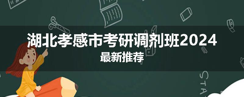湖北孝感市考研调剂班2024最新推荐
