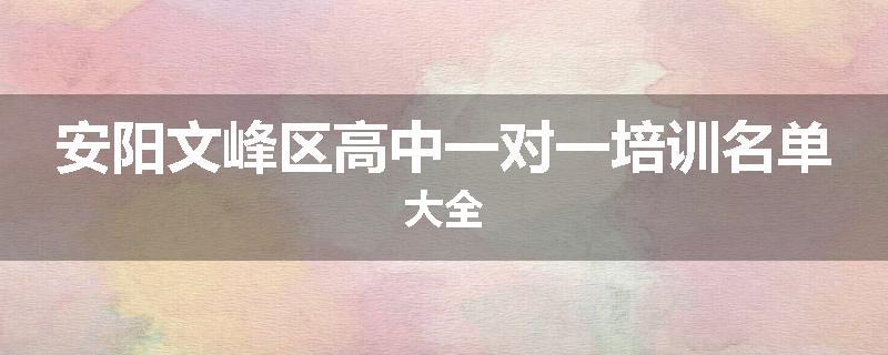 安阳文峰区高中一对一培训名单大全