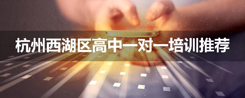 杭州西湖区高中一对一培训推荐