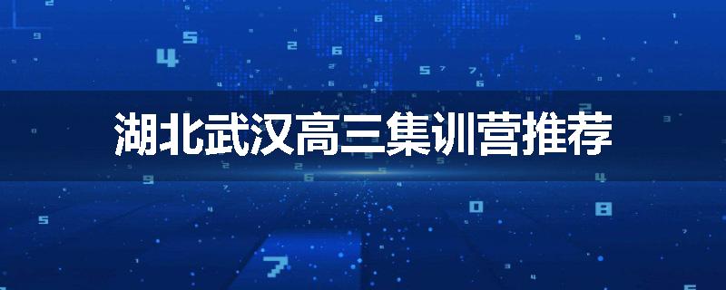 湖北武汉高三集训营推荐