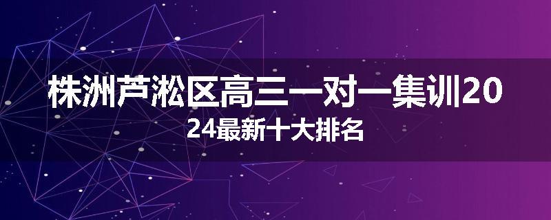 株洲芦淞区高三一对一集训2024最新十大排名