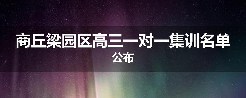 商丘梁园区高三一对一集训名单公布