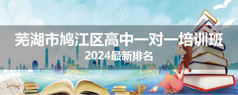 芜湖市鸠江区高中一对一培训班2024最新排名
