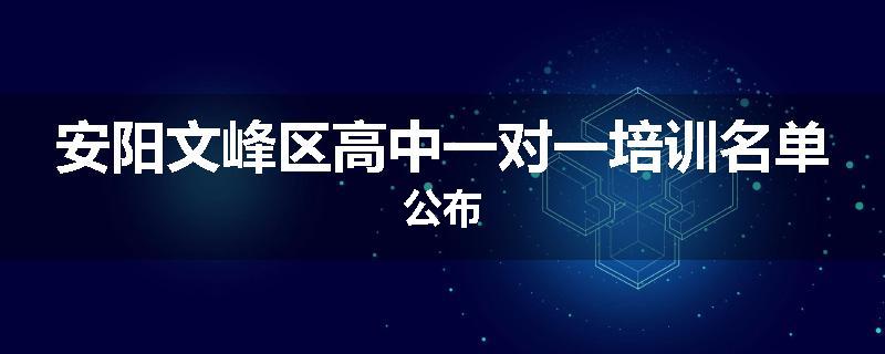 安阳文峰区高中一对一培训名单公布