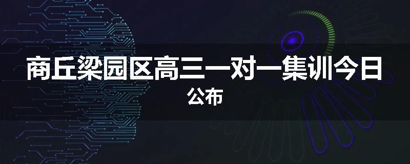 商丘梁园区高三一对一集训今日公布