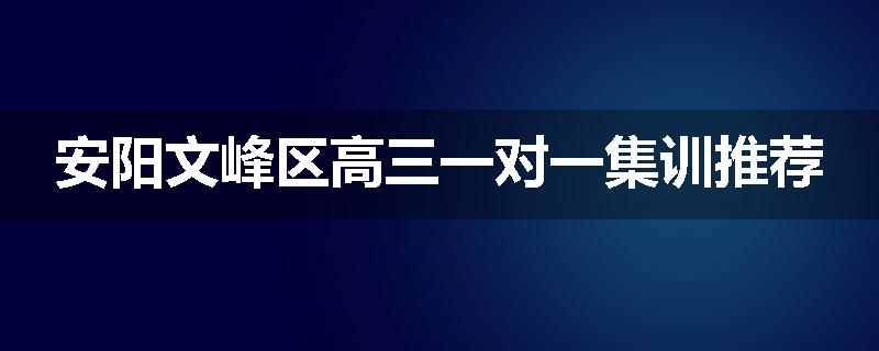 安阳文峰区高三一对一集训推荐