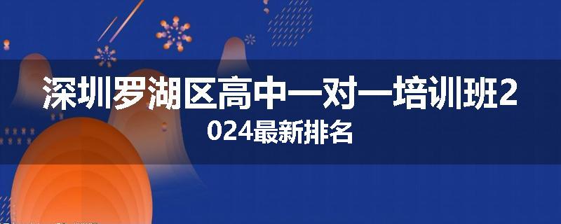 深圳罗湖区高中一对一培训班2024最新排名