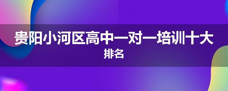 贵阳小河区高中一对一培训十大排名
