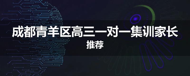 成都青羊区高三一对一集训家长推荐