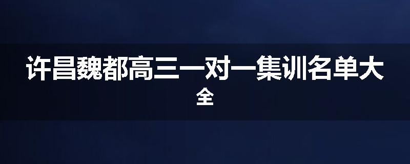 许昌魏都高三一对一集训名单大全