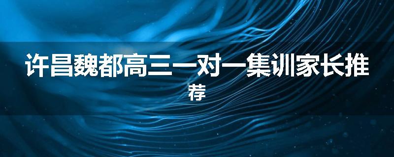 许昌魏都高三一对一集训家长推荐