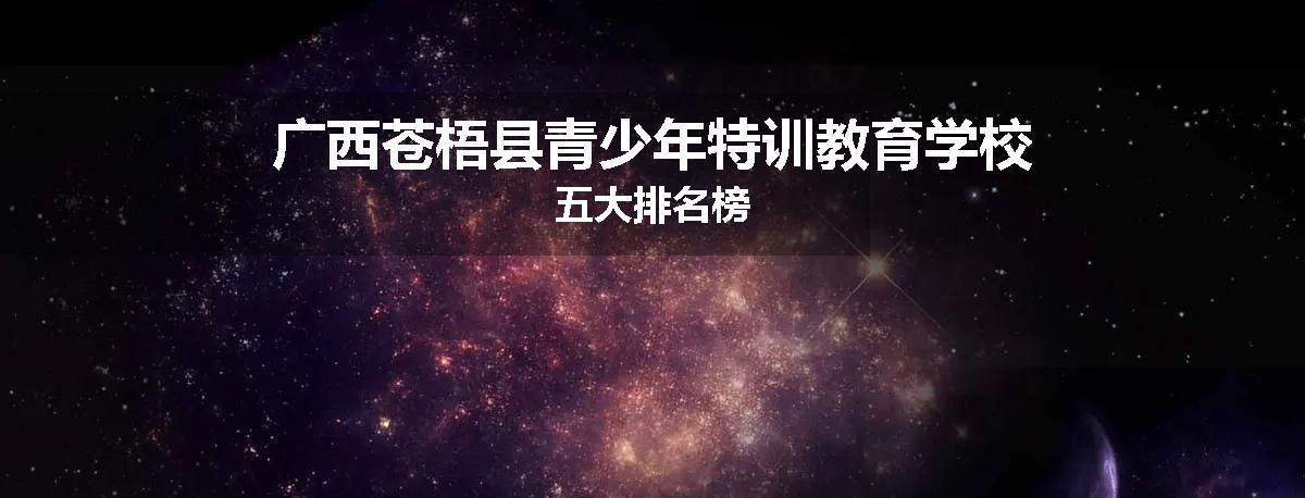 广西苍梧县青少年特训教育学校五大排名榜