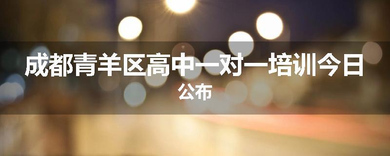成都青羊区高中一对一培训今日公布