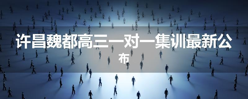 许昌魏都高三一对一集训最新公布