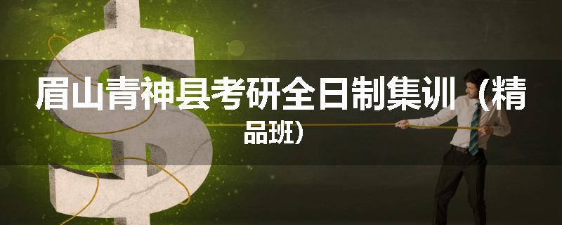 眉山青神县考研全日制集训（精品班）