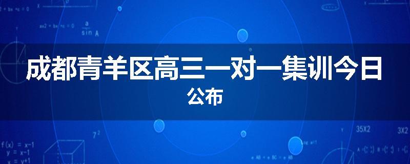 成都青羊区高三一对一集训今日公布