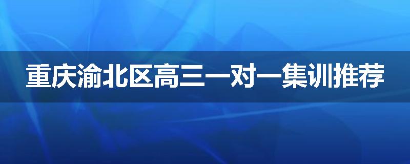 重庆渝北区高三一对一集训推荐