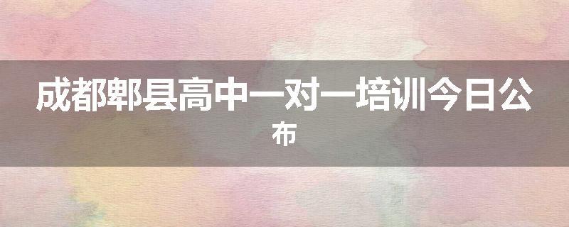 成都郫县高中一对一培训今日公布