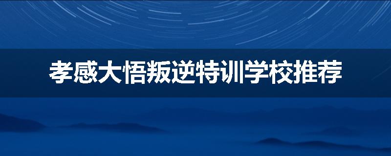 孝感大悟叛逆特训学校推荐