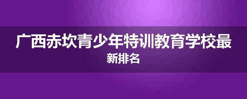 广西赤坎青少年特训教育学校最新排名