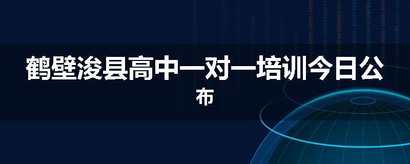 鹤壁浚县高中一对一培训今日公布