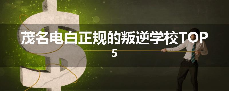 茂名电白正规的叛逆学校TOP5