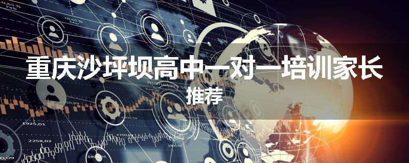 重庆沙坪坝高中一对一培训家长推荐